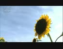 菅原一秀　Beautiful Sky