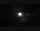 中秋の名月と虫の音