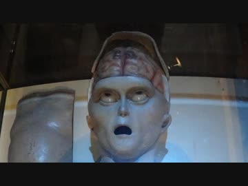 【ボイロ車載】一度は行きたい！石川旅行　Part2【Z250】