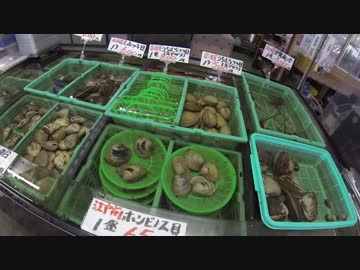 秋だ！BBQだ！【夢ねこ世界を喰らう＃４４】海ほたるから木更津で海鮮BBQ