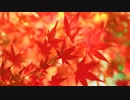 オリジナル曲「Scarlet」