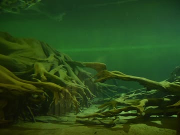 【ゆっくり】徒歩で日本一周part200【魚津→富山】