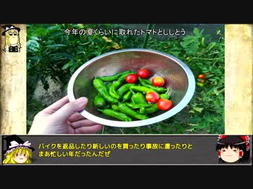 【小かぶ】バイク乗りが始める 家庭菜園【その１】