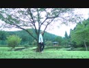 アイネクライネ 踊ってみた【KAMO】