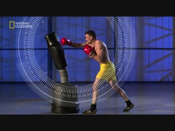 カバを逆さ スポーツ特集