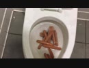 ソーセージをトイレに流してみた２