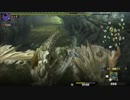 【MHXX：NS】ほぼ矢切りの討伐記録（村下位）。その 21【プレイ動画】