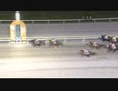 2017年10月5日大井競馬12R オフト後楽園賞(B1-二・B2-二) ロードメビウス