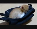 あの～～・・・どいてもらえますか、、？笑