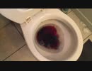 フルーツゼリーをトイレに流してみた５