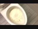 小麦粉をトイレに流してみた２