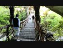 【生海月】なまくらじお【2017.10.9】