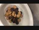 クッキーをトイレに流してみた３