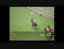 【ウイニングポスト8 2015】女馬主と早世馬の新世界【実況プレイ】255