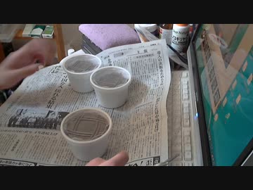 【実験】ダイソーのくぬぎ伝説と昆虫マットでカブトムシを育ててみた④