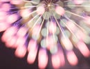 打上花火 うたってみた