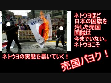 ネトサポ・ネトウヨこそがもっとも日本を侮辱する国賊である。