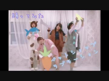(踊ってみた)ペットショップラブモーション/Hey! Say! JUMP