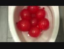水風船をトイレに流してみた
