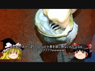 ゆっくり達と食料を調達するVol.6 真鶴港ウツボ釣り＋贅沢なオマケ