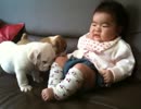 ボクの妹にさわるなー