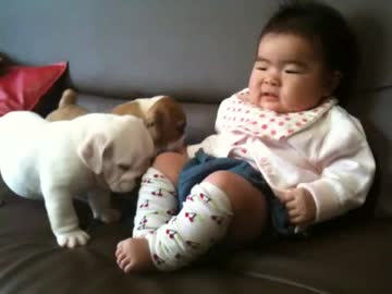 ボクの妹にさわるなー