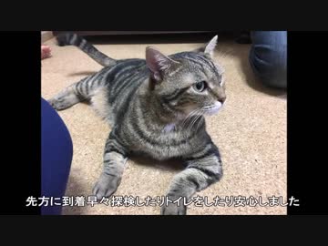 【こげつく】メリーさんの卒業２