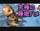 【MHXXNS】最強の睡眠値を叩き出すロマンハメＰＴ！