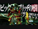 #16.5【FF12 TZA】対ギルガメッシュ 攻略参考 (1回目～2日目、味方レベル41)