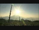 平川昇吾 太陽の一日
