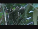 メディブリッジ お母さんと