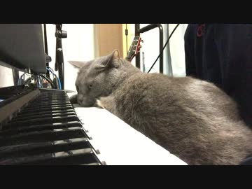 猫が弾いたメロディをオーケストラアレンジしました