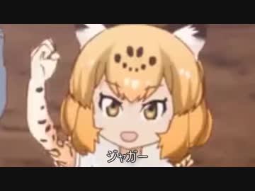 神聖ジャガってちゃん　けものフレンズは鳴り止まないっ