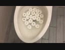 ドーナツをトイレに流してみた４