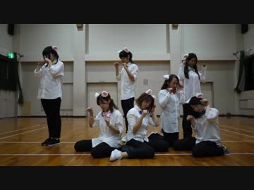 【東海発愛知組】すーぱーぬこわーるど【踊ってみた】