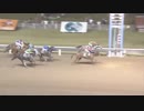 2017年10月9日川崎競馬7R 宇宙忍者「バルタン店長」杯 ドンナディヴィーノ