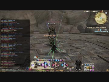 FFXIV 赤魔道士 木人討滅戦 (オメガ零式：デルタ編４級)