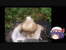 ゆっくり農民67ニンニクを育ててみませんか？#2