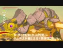 ゼルダ歴ゼロ年による生活記録 part 69