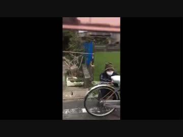 ヨーシィ！