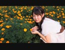【Al!ce】さようなら、花泥棒さん【踊ってみた】