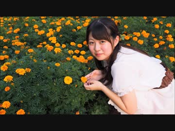 【Al!ce】さようなら、花泥棒さん【踊ってみた】