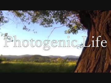 【ニコラップ】 Photogenic Life 【Geppei】