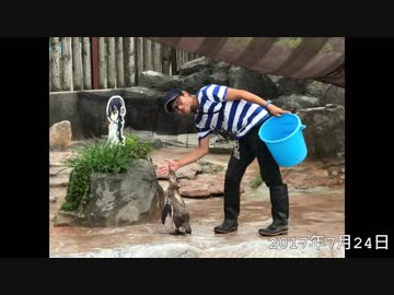 【追悼】グレープ君、ありがとう【動画】