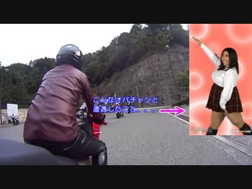 VFR800 もみのき森林公園 早朝ツーリング（2017.10.1）