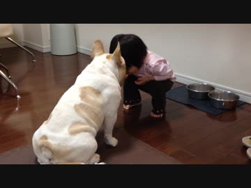 りんごを奪われるハプニング