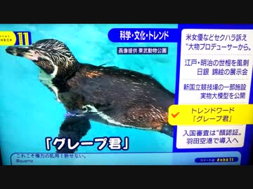 ニュースチェック11 トレンドワード「グレープ君 」