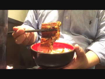 ワンコイン(500円)で食べれるうな丼 [秋葉原のうなどん丼]