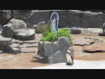 YMDから餌をもらうグレープ君、それと追悼