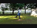 【Vivid_s】 翡翠のまち 踊ってみた 【たろ。】